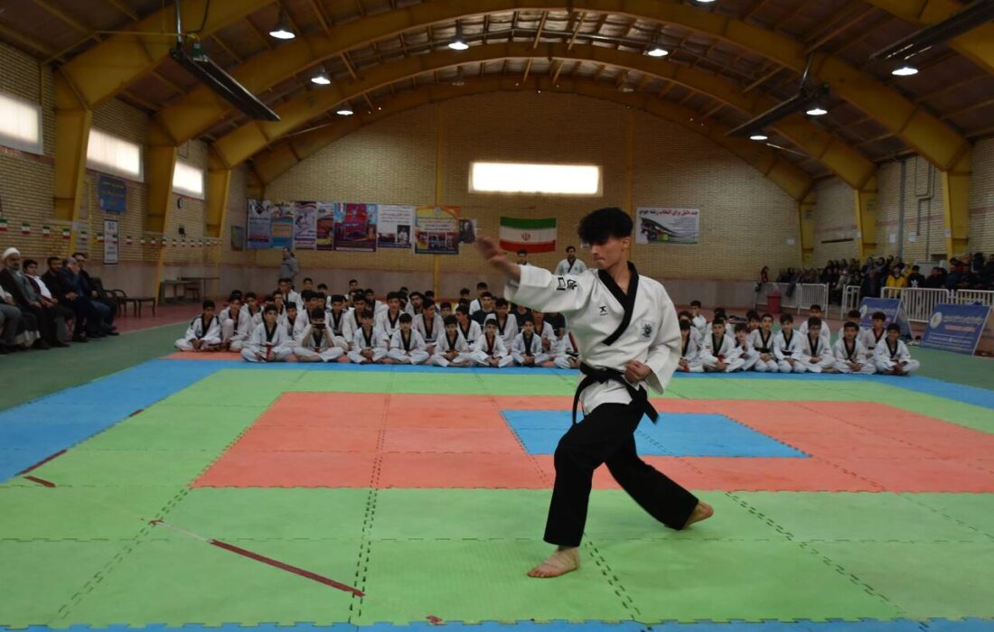 اولین دوره تکواندو انفرادی استان اردبیل برگزار شد