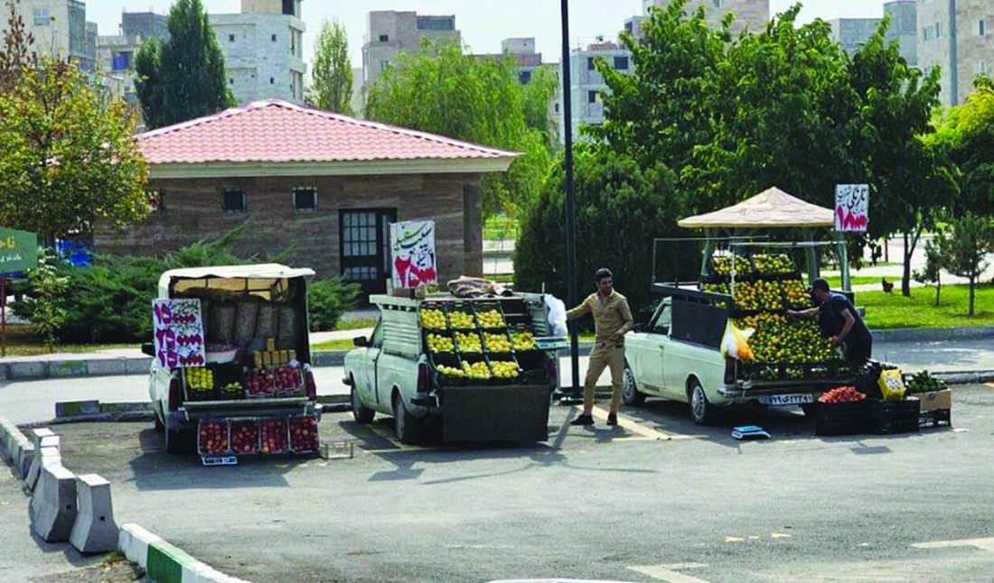 ۷۵۷ وانت بار میوه فروش سیار در اردبیل ساماندهی شدند