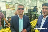 استقبال ۵ هزار نفری از هفتمین جشنواره ملی «به» در گیوی